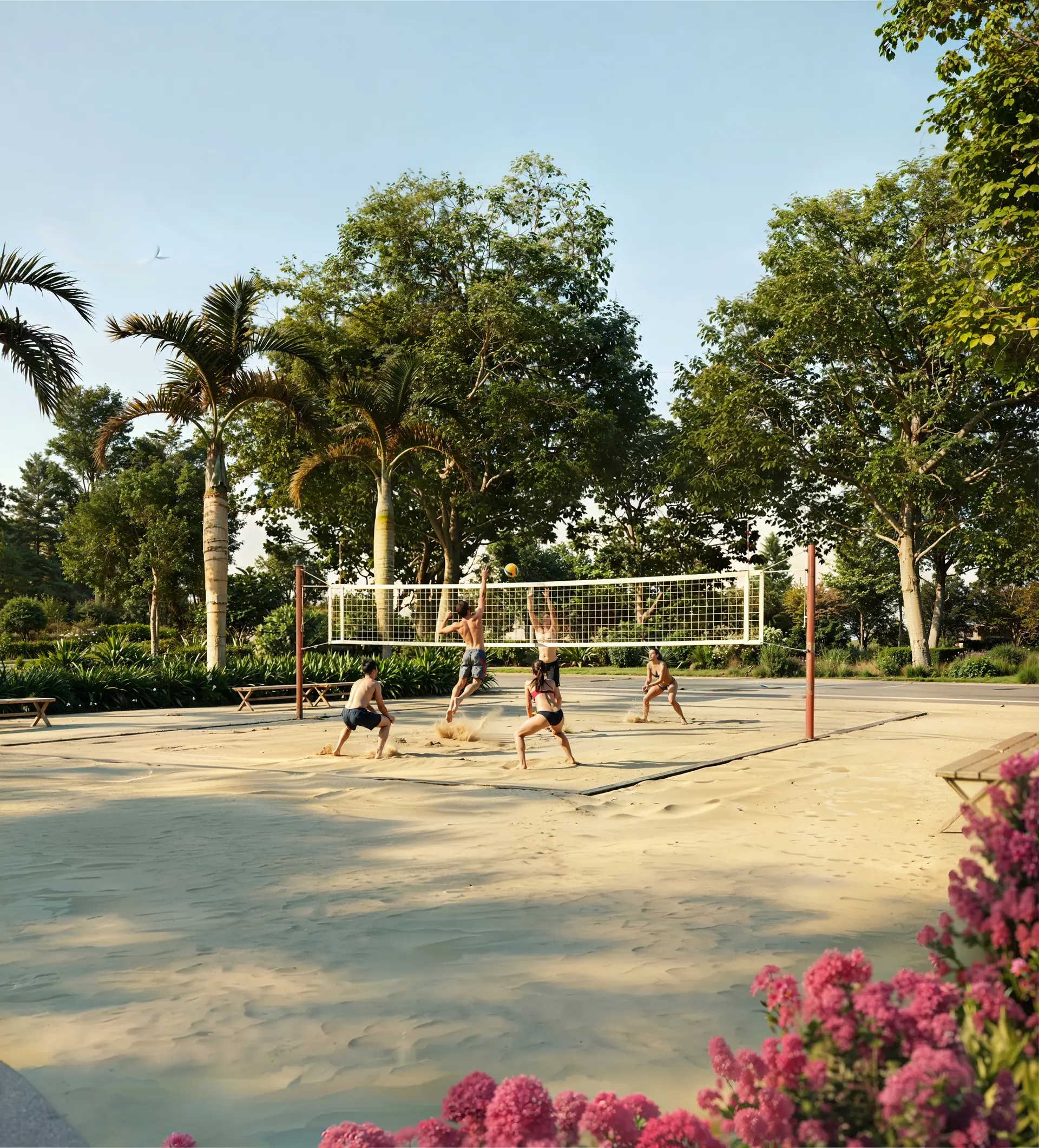 V12_Cancha de voley_300DPI-optimizadas